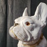 Bouledogue français en céramique manufacture de bavent 1900 france.