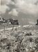 Old black and white silver photography early twentieth century
