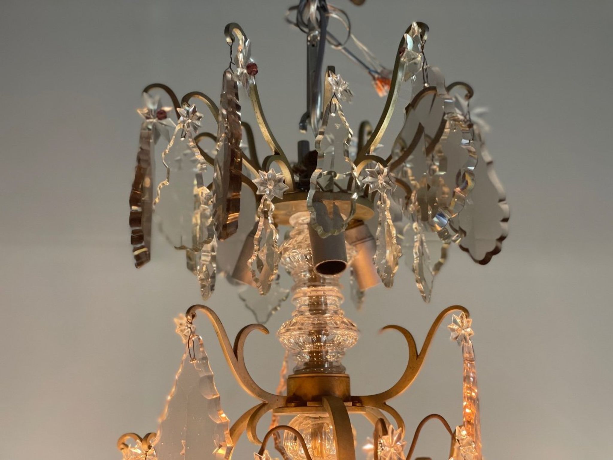 Silver bronze cage chandelier with crystal grapevines circa 1900