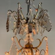 Silver bronze cage chandelier with crystal grapevines circa 1900