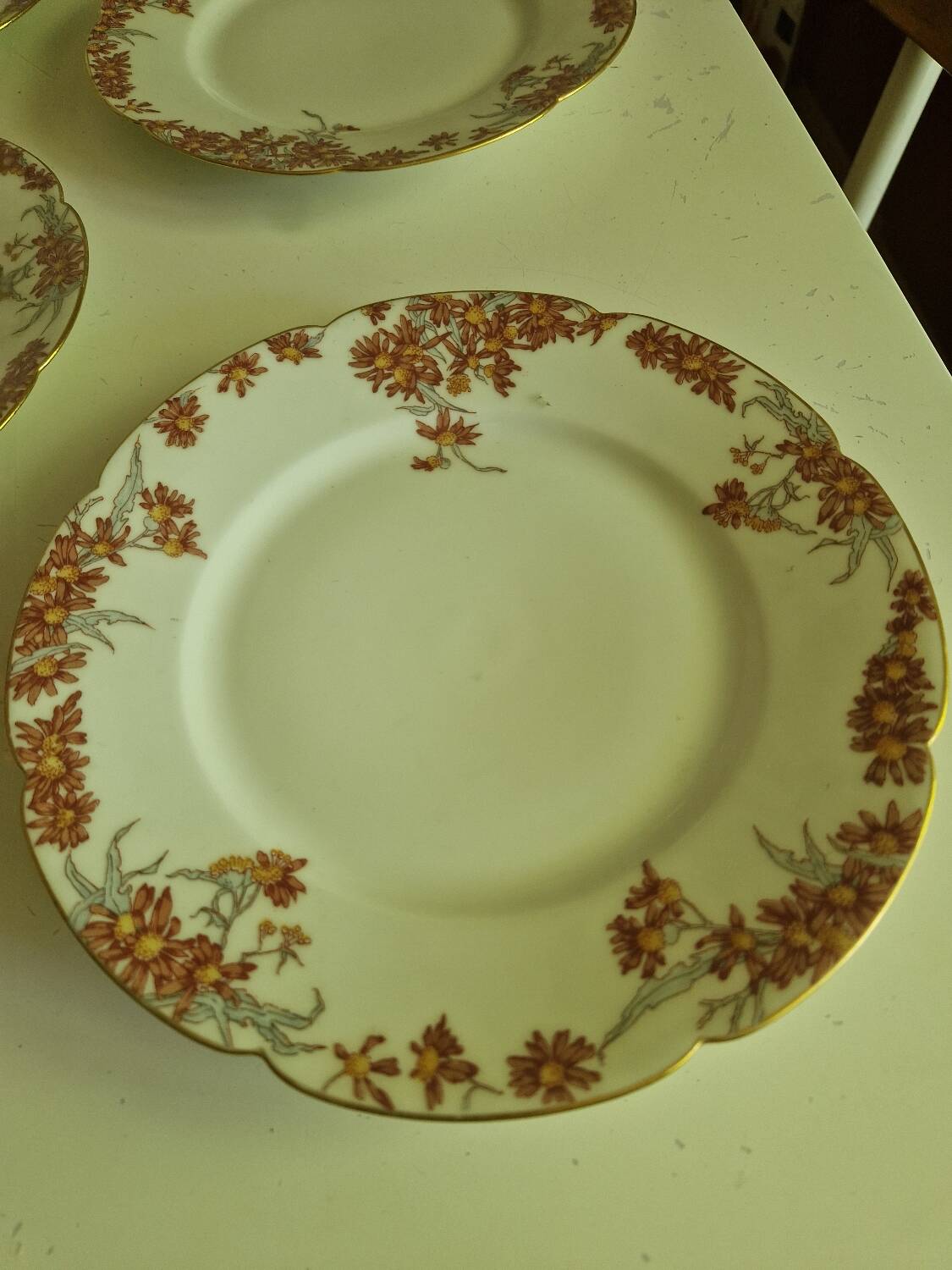 Lot of 11 Porcelain Dinner Plates Plus Presentation Dish Manufactured