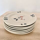 Stoneware plates