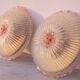 Set of 2 Large Size iItalian Pink and Murano Glass Ceiling Flower