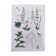 Affiche sur les plantes d'après une gravure de 1881 "romarin"