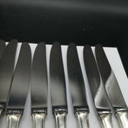 Series 12 entremets knives in silver metal reneka stainless steel blade
