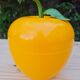 Vintage apple apple somm orange ice cube tray