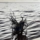 Photo Alice ducheix - Gallery Zones