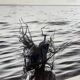 Photo Alice ducheix - Gallery Zones
