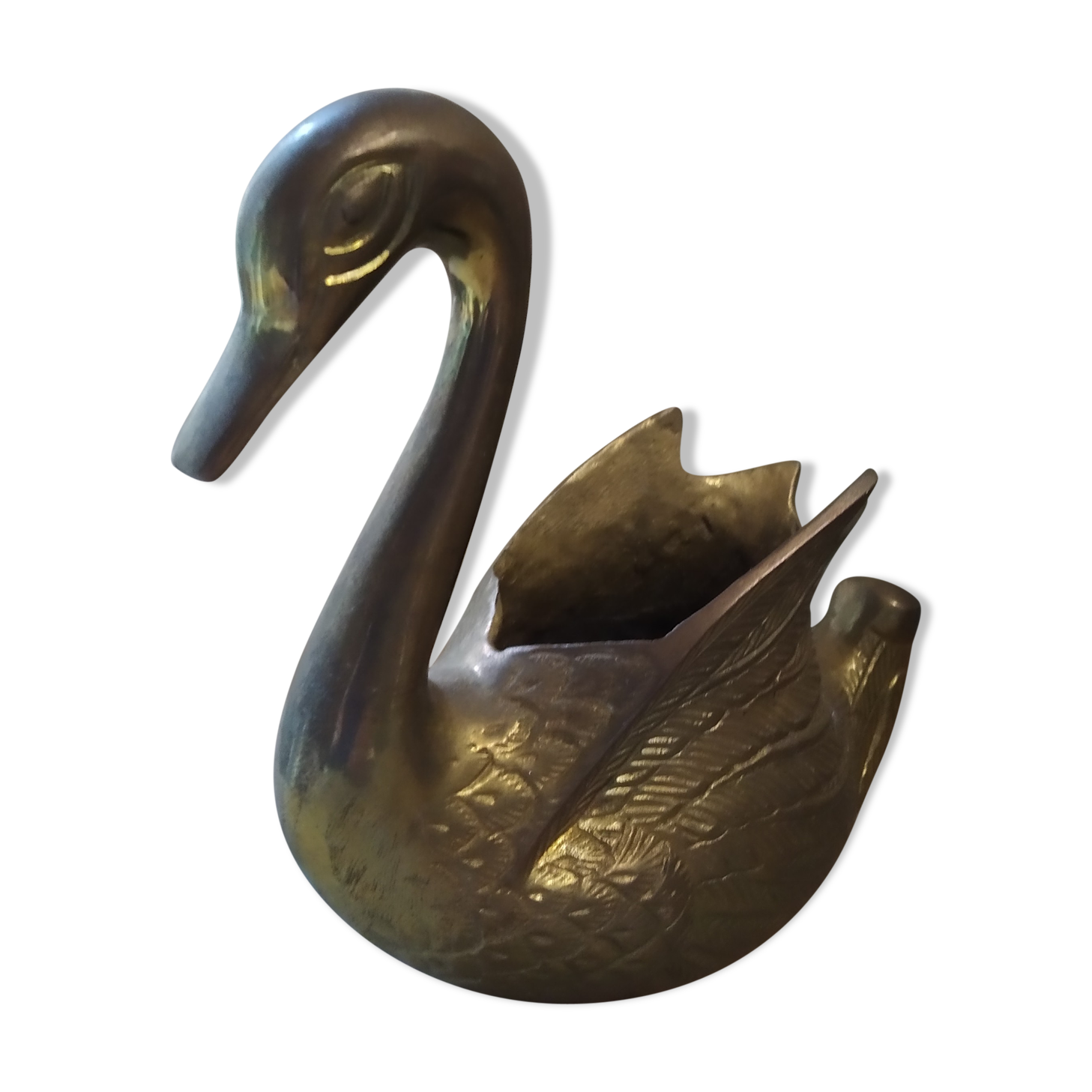 Swan