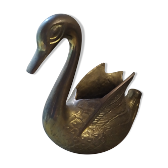 Swan