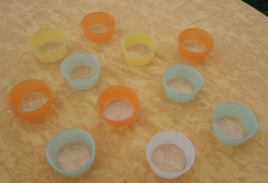 10 ancient colored glass ramequins Duralex for calvé oil