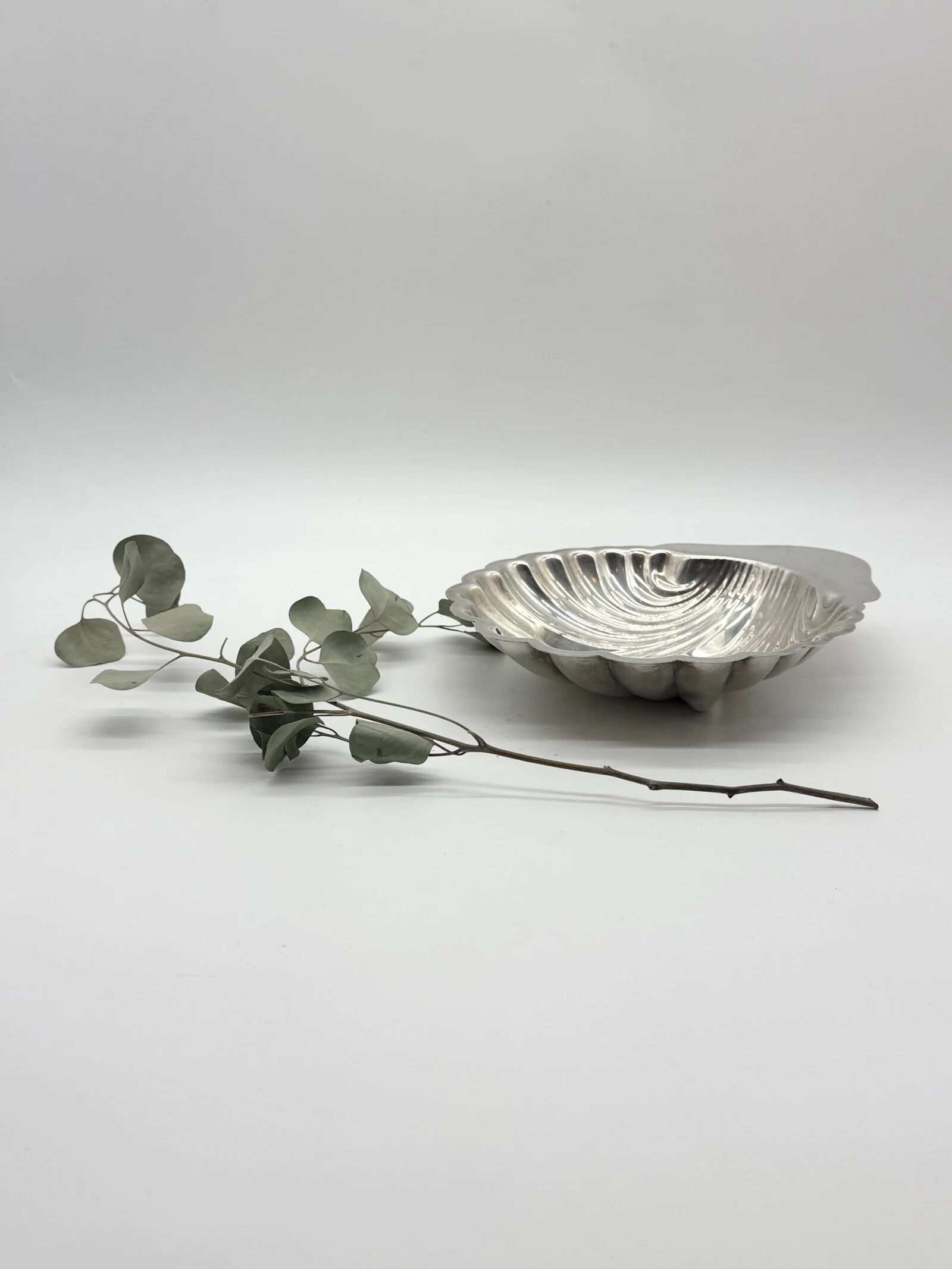 Large shell signed "Saint Hilaire", 1950s