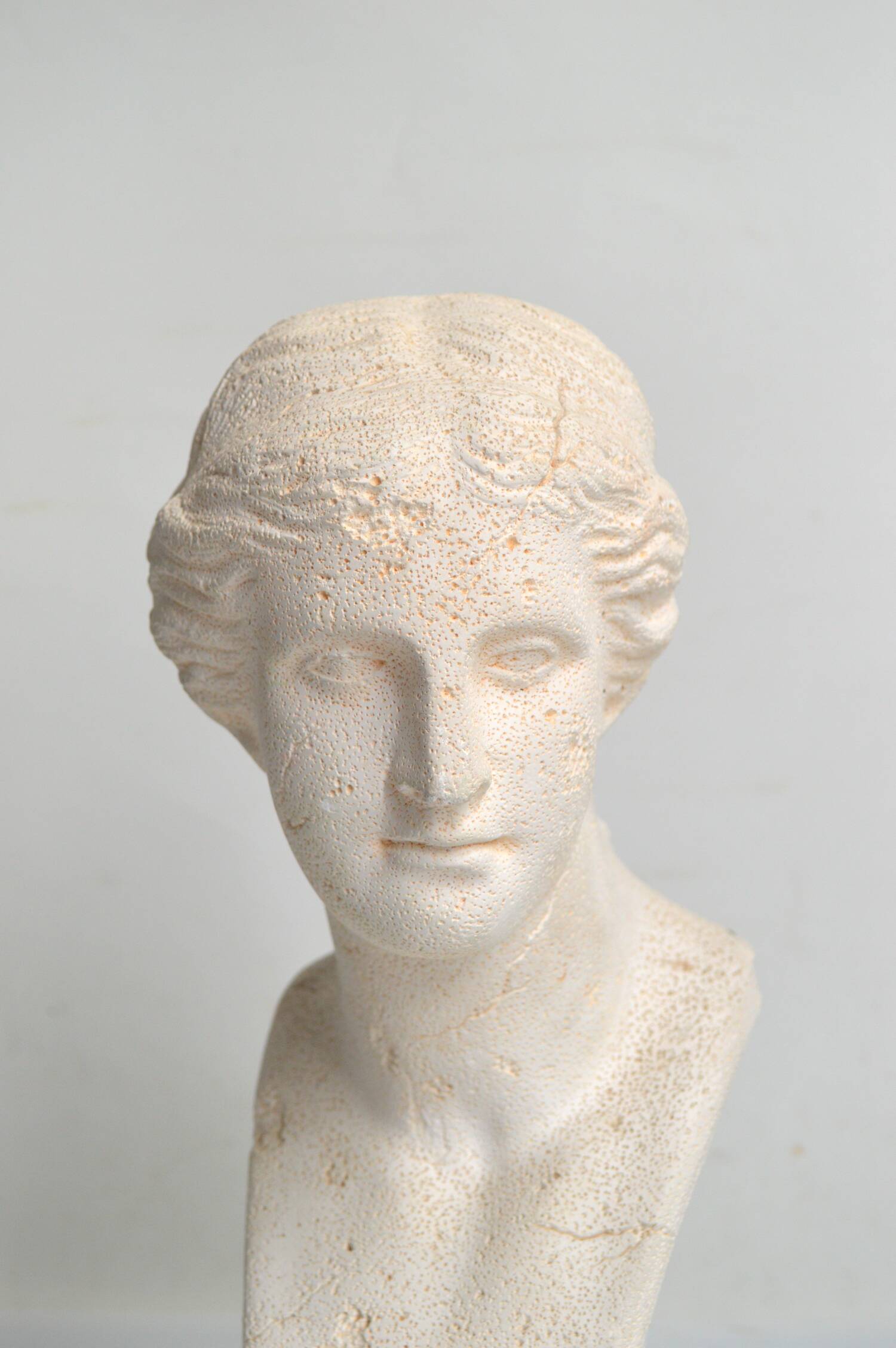 Bust of Venus