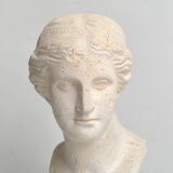 Bust of Venus