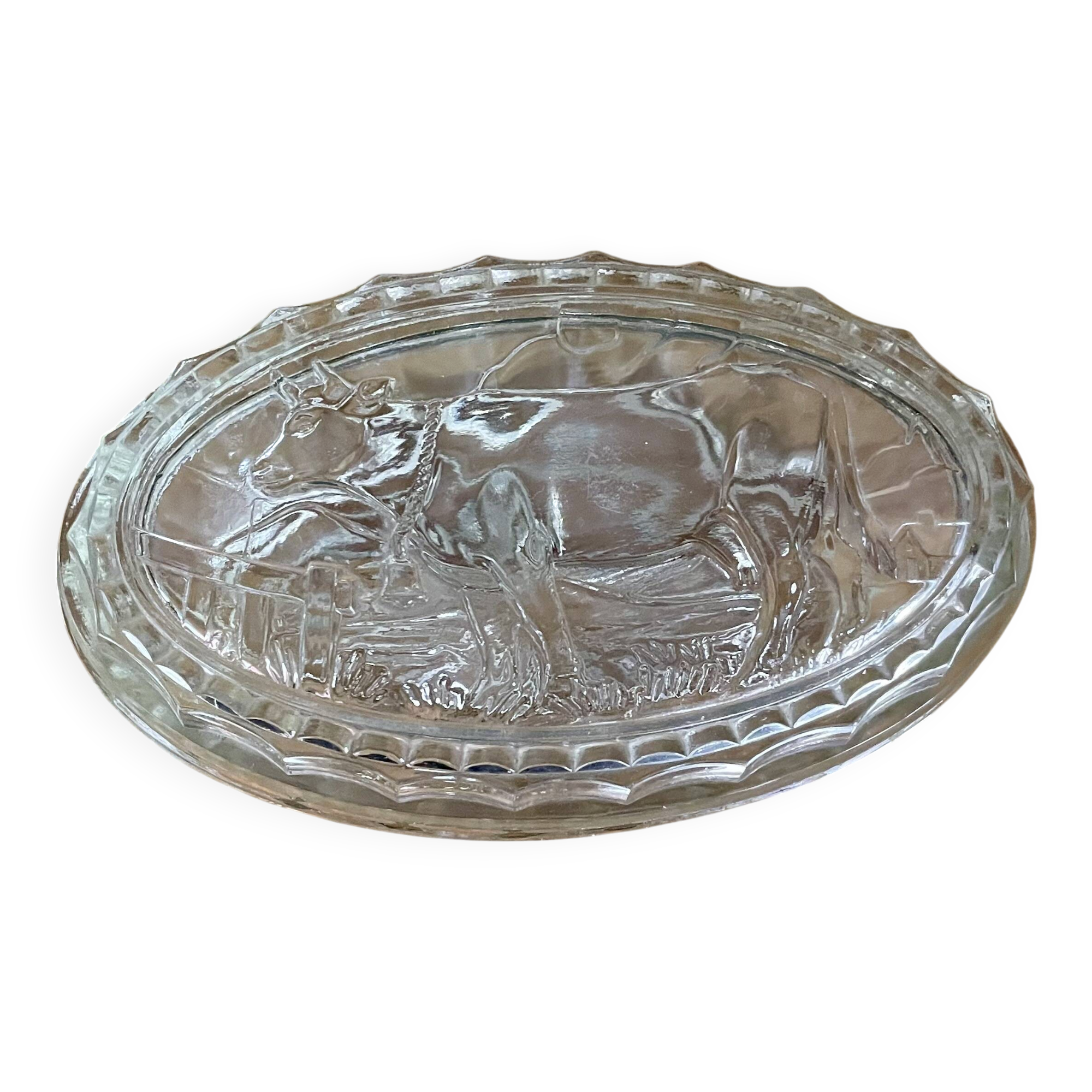 Ancien Couvercle De Beurrier Ovale En Verre – Décor Vache Relief – France Années 1920-1949