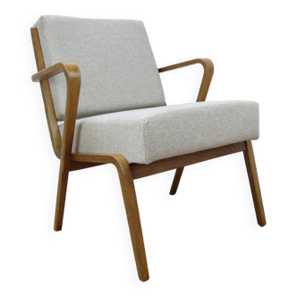 Fauteuil de Selman Selmanagic pour VEB Deutsche Werkstätten Hellerau, 1950