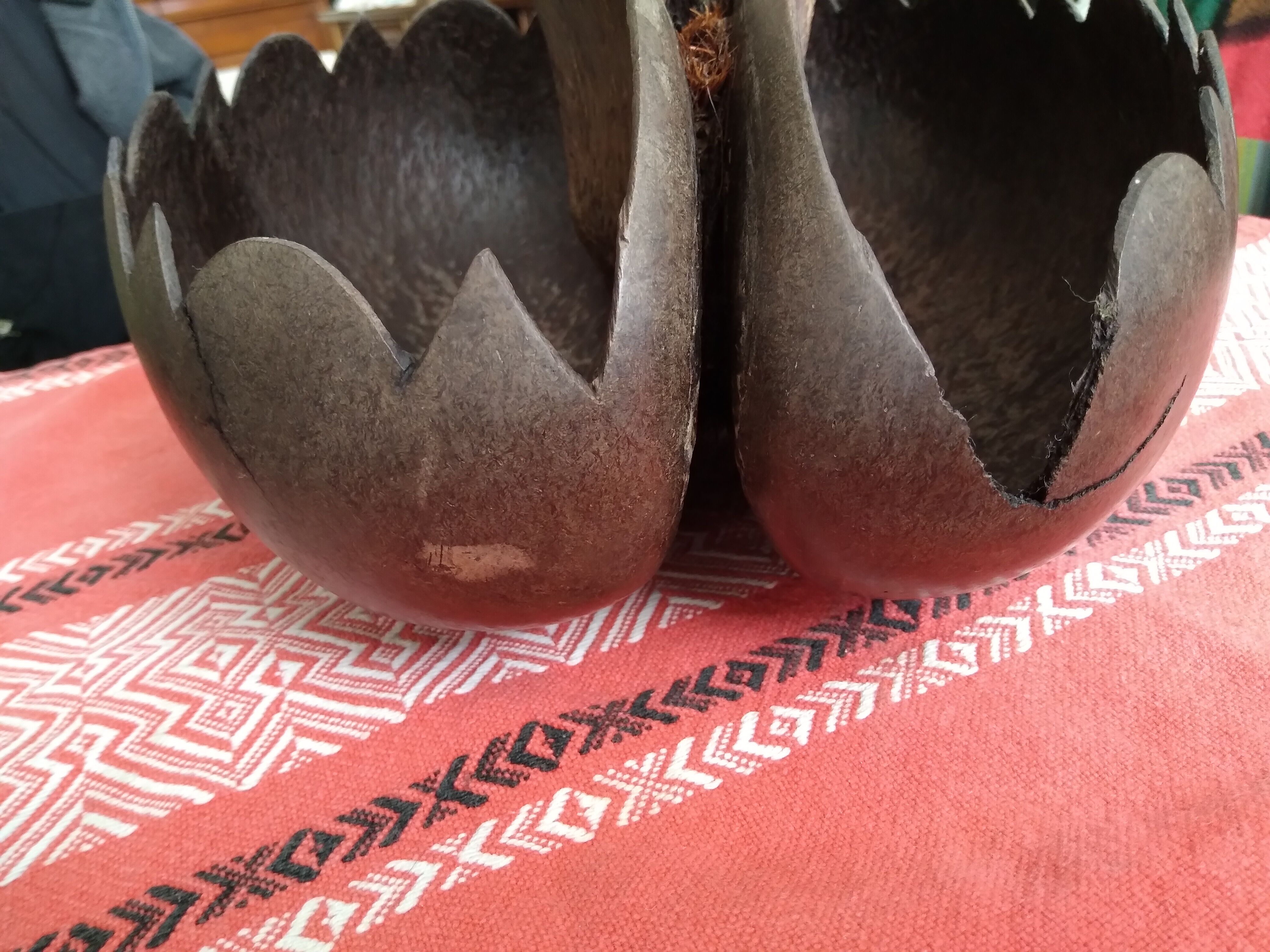 Coconut basket buttocks of Seychelles