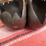 Coconut basket buttocks of Seychelles