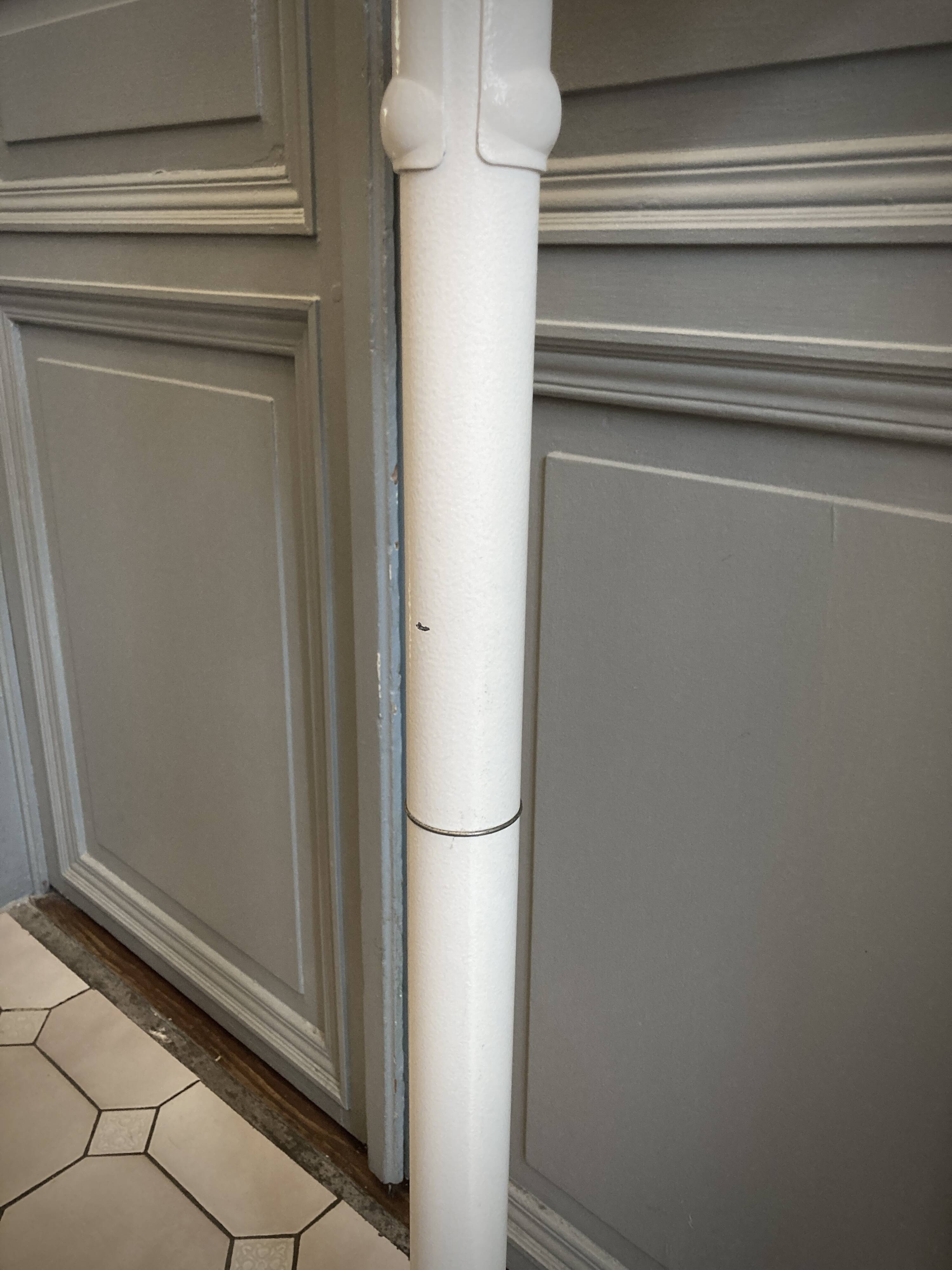 Personal scale and medicine measuring rod