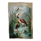 Huile sur toile nature morte représentant des flamands roses