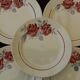 5 assiettes plates en faïence de BADONVILLER. Modèle Strasbourg.