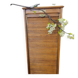 Filing cabinet with a curtain