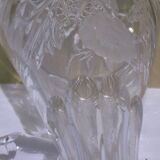 Carafe