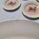 9 villeroy et boch porcelain dinner plates model 1584 25 cm