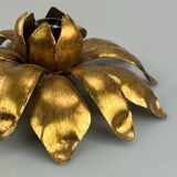 Wall sconce in brass
