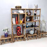 Bamboo Bookcase with Smoked Glass Shelves by Vivai del Sud, Italy