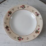 Lot of 9 hollow plates Salins model Simone