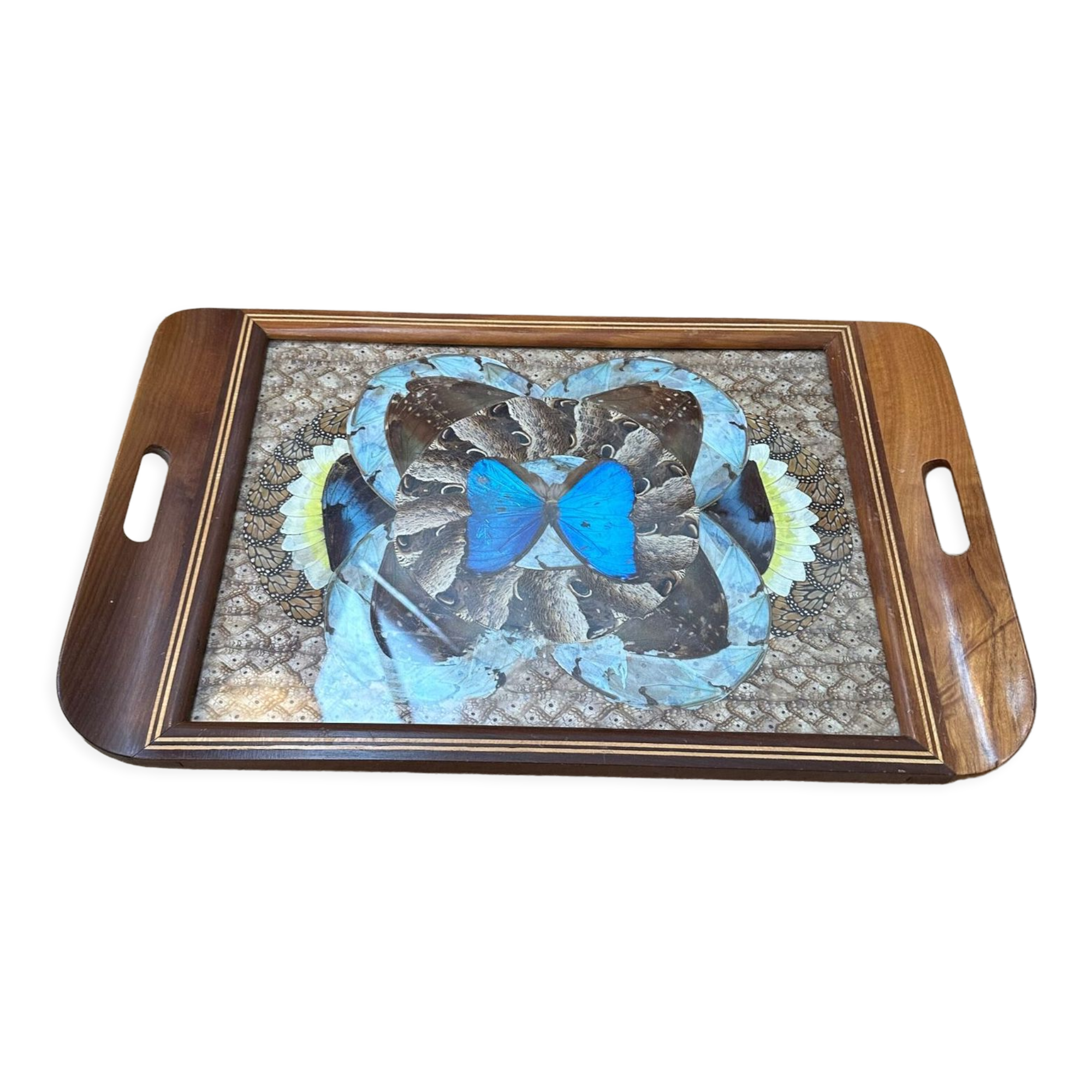 Inlaid top in exotic wood and butterfly wing decorations