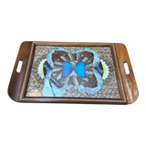 Inlaid top in exotic wood and butterfly wing decorations