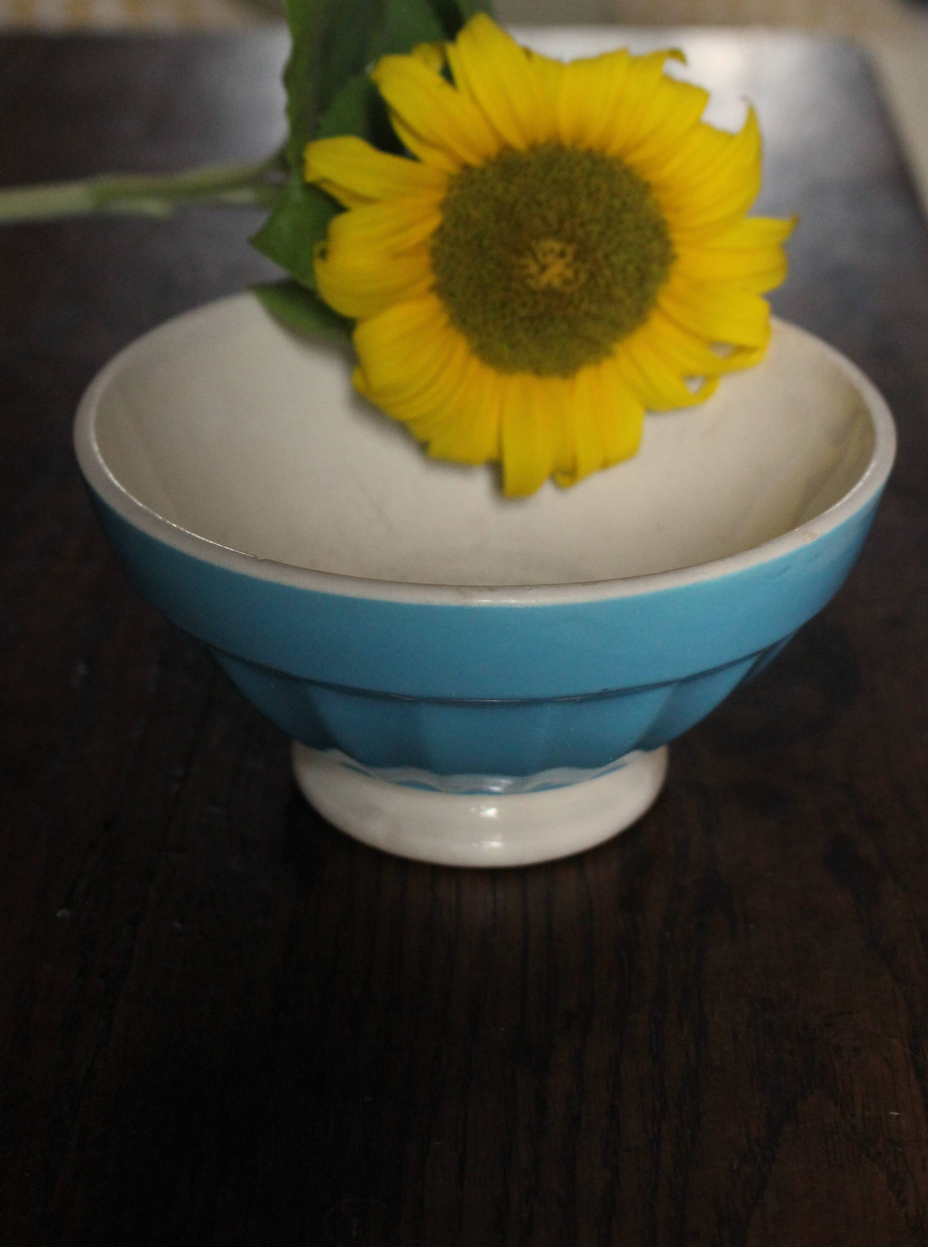 Vintage Digoin Sarreguemines blue ribbed earthenware bowl on foot
