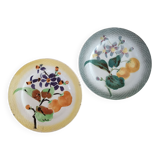 2 plates Saint Amand Orchies