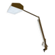 Waldmann work or desk lamp