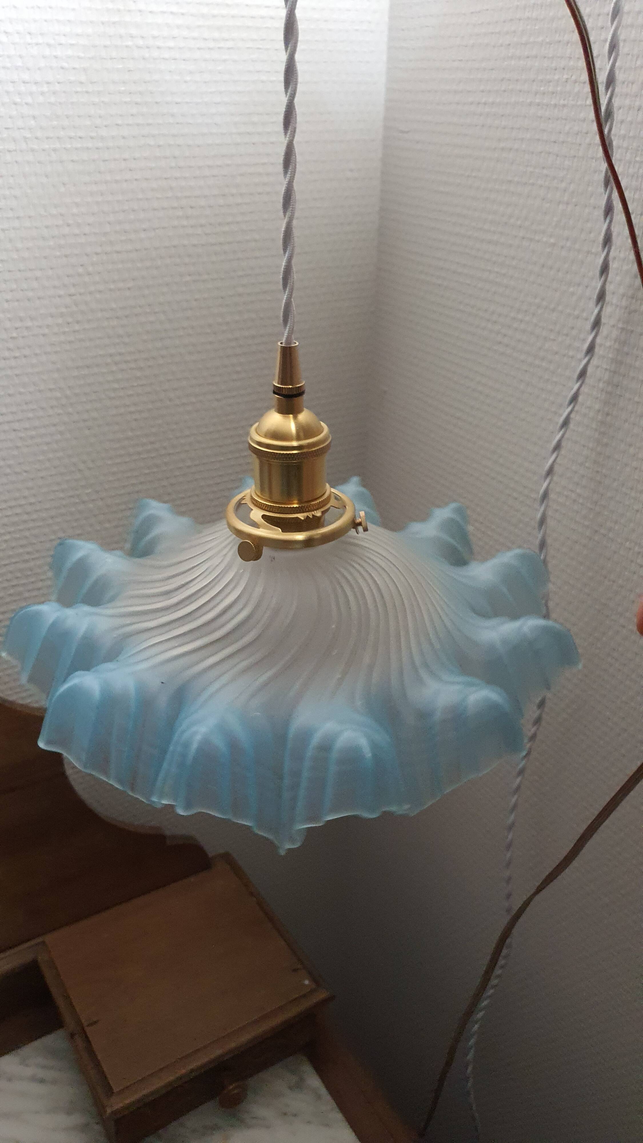 Lampshade portable lamp