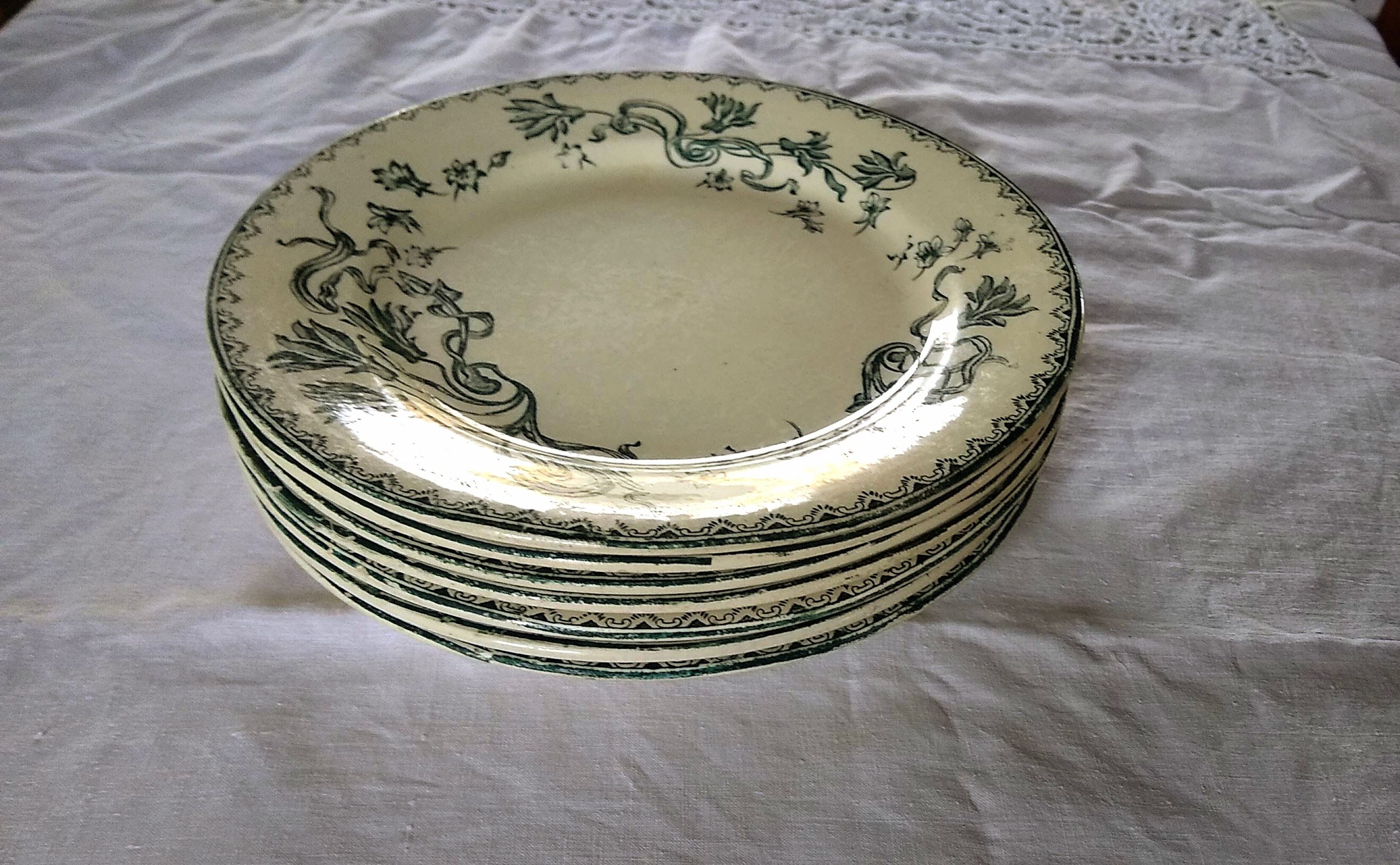 9 flat earthenware plates motif Herbarium and Salins