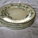 9 flat earthenware plates motif Herbarium and Salins