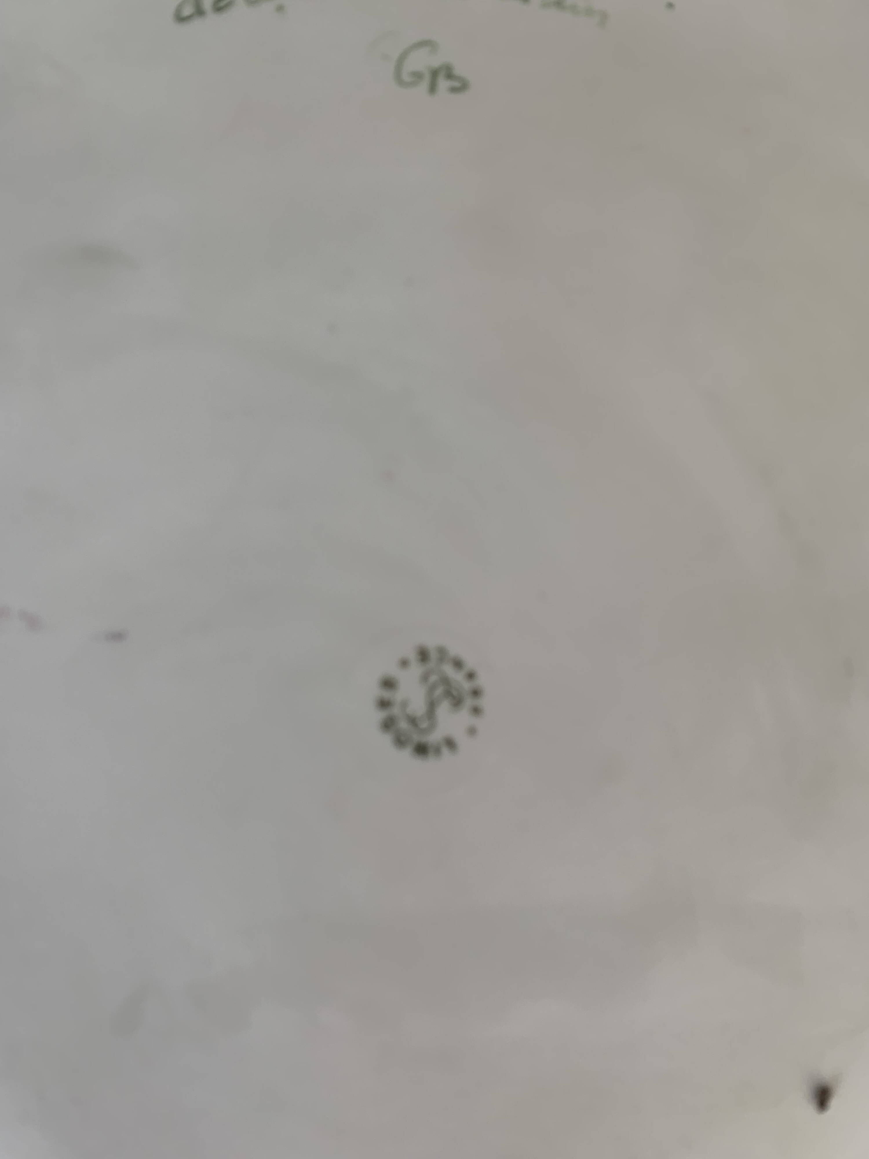 Limoges France cake dish, hand decorated, hand painted, vintage