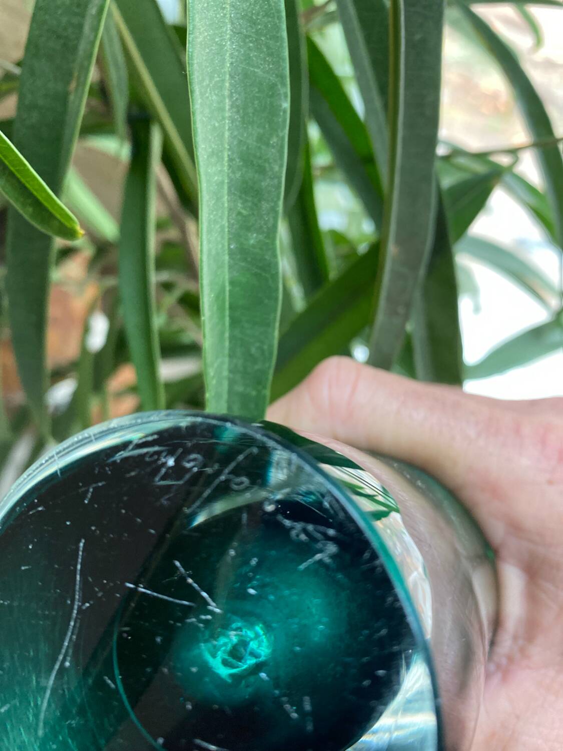 Shell crystal art sculpture vase by Paul Kedelv for Flygsfors, Scandinavian glass