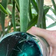 Shell crystal art sculpture vase by Paul Kedelv for Flygsfors, Scandinavian glass