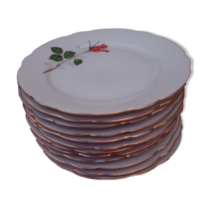 12 assiette dessert en