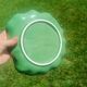 Vintage cabbage slipware plate