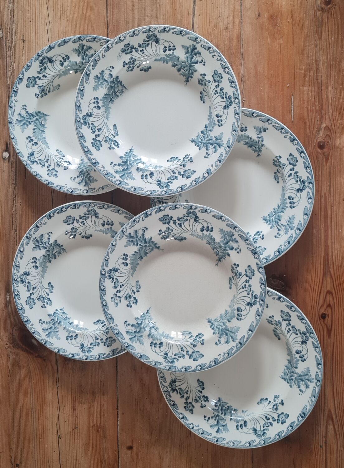 Service of 6 plates in iron earth