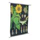 Large Vintage School Card Sunflower Jung Koch Quentell 117cm