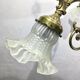 3-light chandelier in bronze and glass tulips