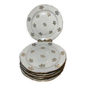 6 assiettes vintage en - limoges