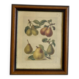 Fruit board