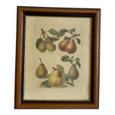 Fruit board